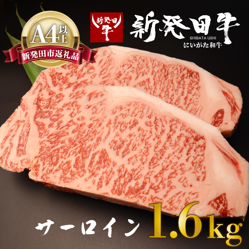サーロイン ステーキ 牛肉 1.6kg にいがた和牛 和牛 新発田牛 赤身 焼肉 ふるさと納税 和牛 BBQ キャンプ 特選 贅沢 厳選和牛 ブランド牛 ギフト 贈答 お歳暮  新潟 新潟県 新潟産 新発田 新発田