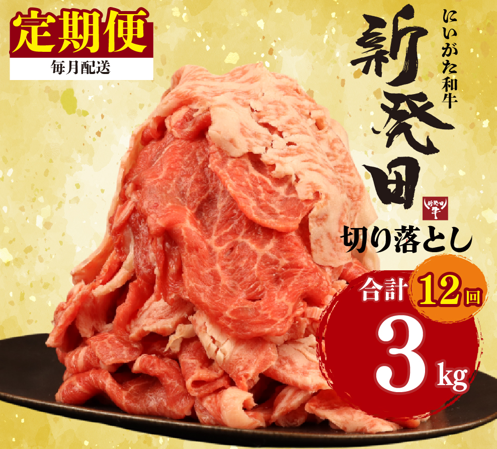 【定期便】 切り落とし 250g×12回 計3kg 新発田牛 黒毛和牛 霜降り 和牛 ブランド牛 国産 しゃぶしゃぶ 小間切れ 小分け 贈答 お歳暮 新潟 新発田 新潟県 新発田市 近江牛 神戸牛 松阪牛 米沢牛