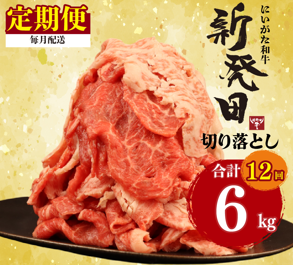 【定期便】 切り落とし 500g×12回 計6kg 新発田牛 黒毛和牛 霜降り 和牛 ブランド牛 国産 しゃぶしゃぶ 小間切れ 小分け 贈答 お歳暮 新潟 新発田 新潟県 新発田市 近江牛 神戸牛 松阪牛 米沢牛