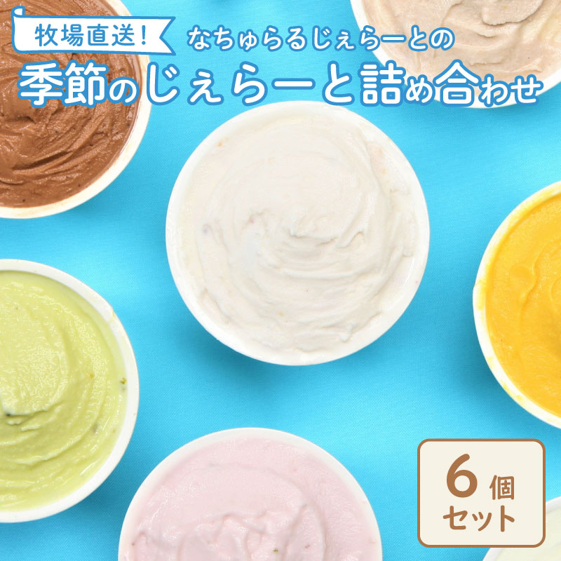 ジェラート  6個入 ミルク ピスタチオ 塩 キャラメル 塩キャラメル いちご 苺 越後姫 ラム レーズン  緑茶 お茶 アイス ジェラート セット 手作り  6個 なちゅらるじぇらーと なかの牧場 新潟