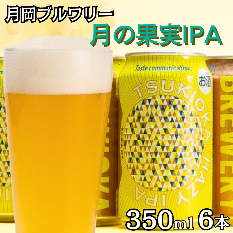 u[ ̉ʎIPA 6ʃZbg 350ml 6{ Ntgr[ r[ nr[ Mtg v[g IPA  S  O[vt[c zbv V Vcs@shinbo013VVcs110