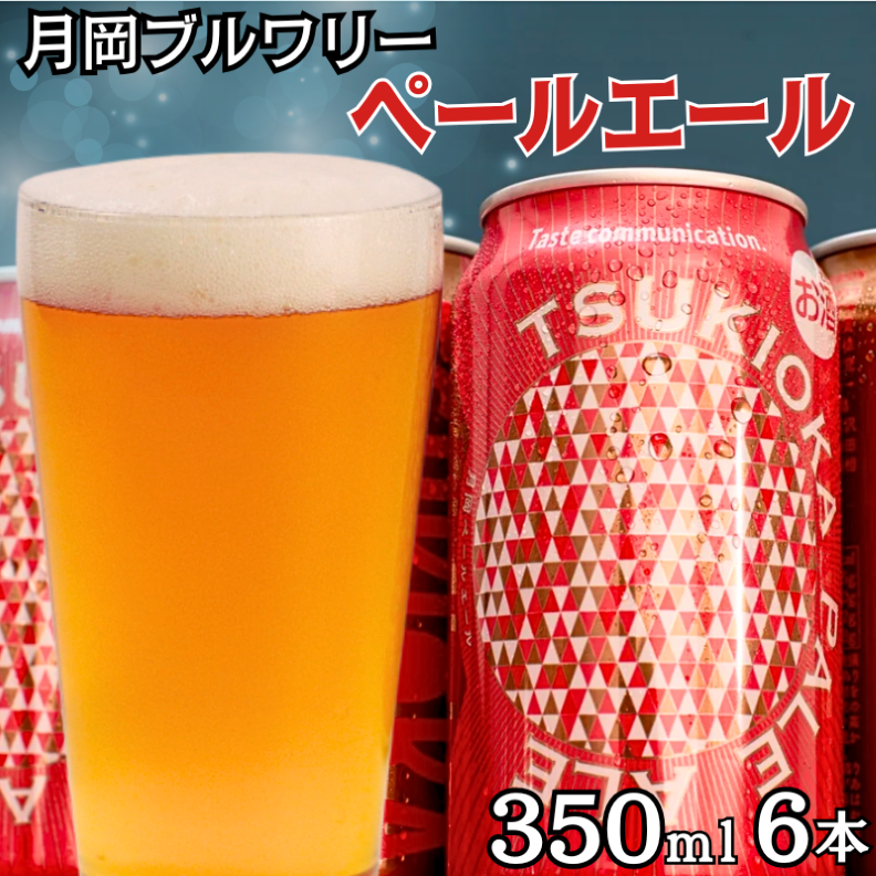 u[ y[G[ 6ʃZbg 350ml 6{ Ntgr[ r[ nr[ Mtg v[g I[XgA zbv  S  V Vcs@shinbo015VVcs11000