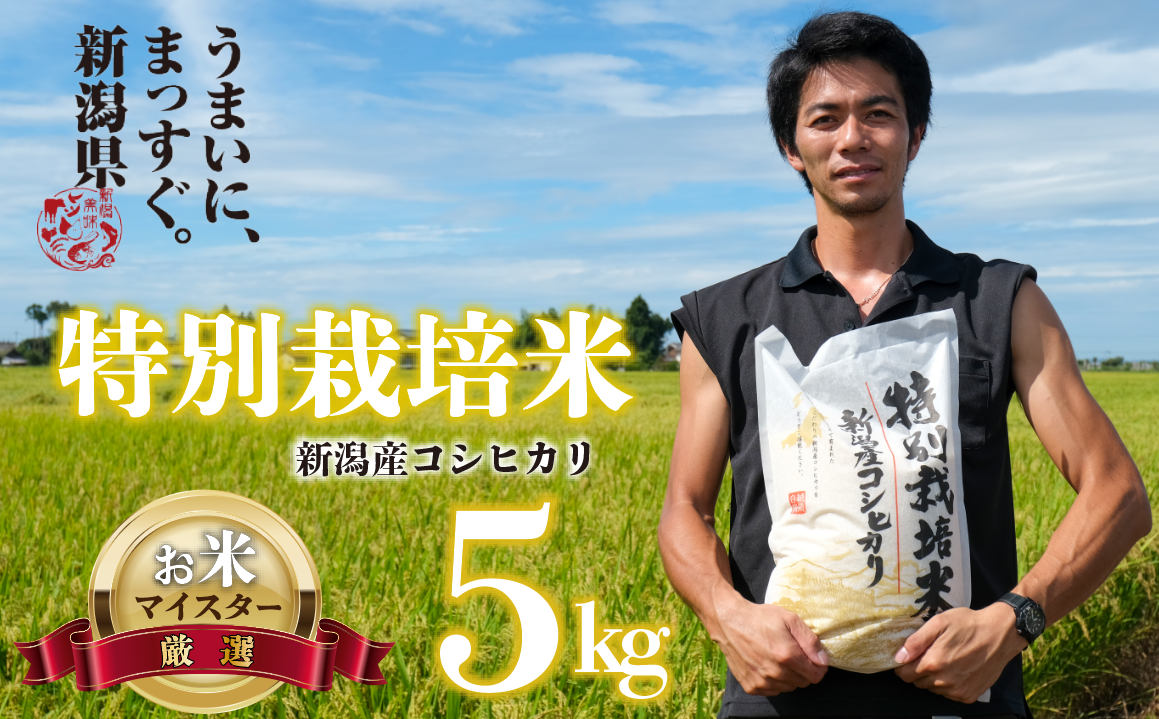 【令和6年産】コシヒカリ 5kg 白米 玄米 特別栽培米 新潟 コメ こめ お米 米 新潟県 新潟米 新発田市 新発田産 toushin002_01新潟県新発田市14000米・パン無洗米