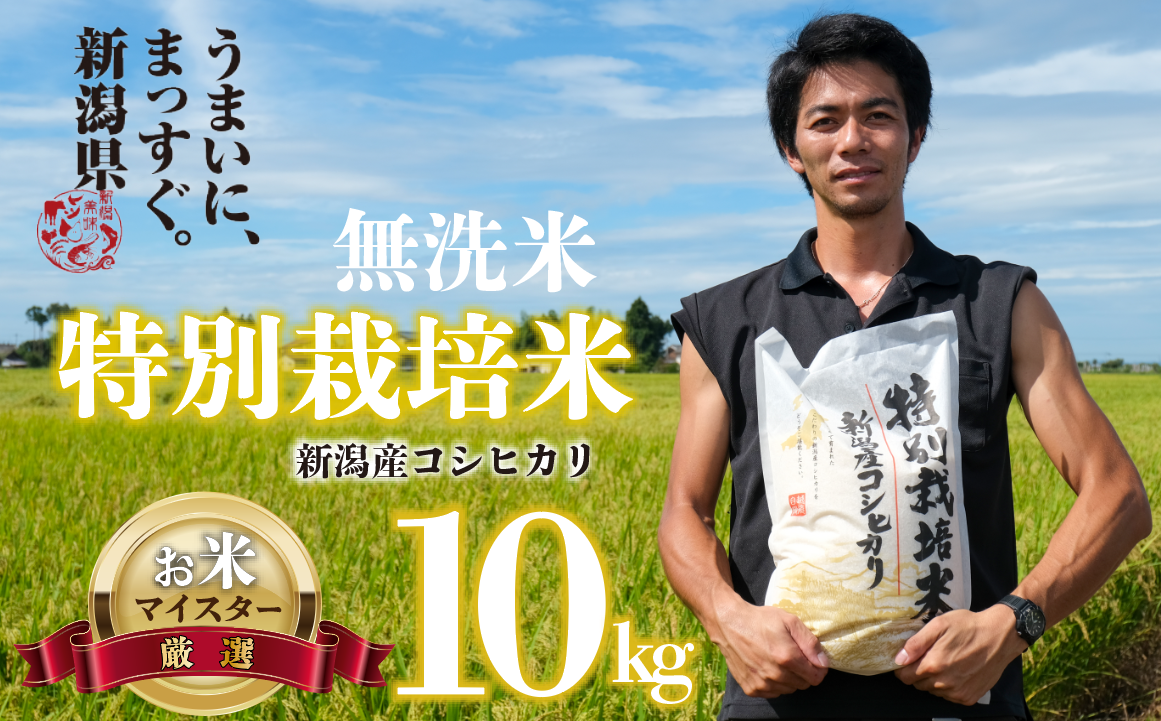 【令和6年産】無洗米 コシヒカリ 10kg 5kg 2袋 新潟産 特別栽培米 こしひかり 斗伸 新潟県 コメ お米 米 こめ 新潟米 新潟 新発田  toushin011_02新潟県新発田市28000米・パン無洗米