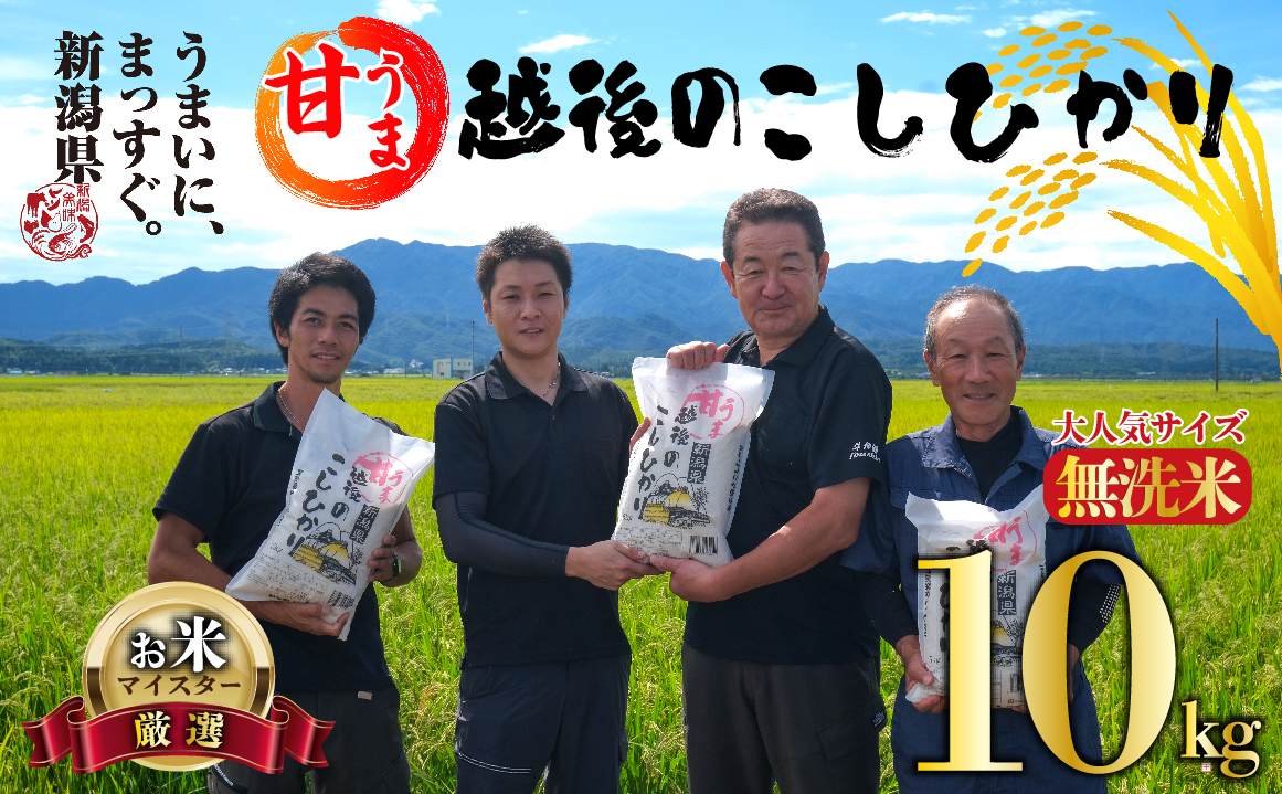 【令和6年産】 無洗米 コシヒカリ 10kg 5kg 2袋 甘うま越後のこしひかり 越後 えちご 特別栽培米 新潟 コメ こめ お米 米 新潟県 新潟米 新発田市 新発田産 toushin013_01新潟県新発田市28000米・パ