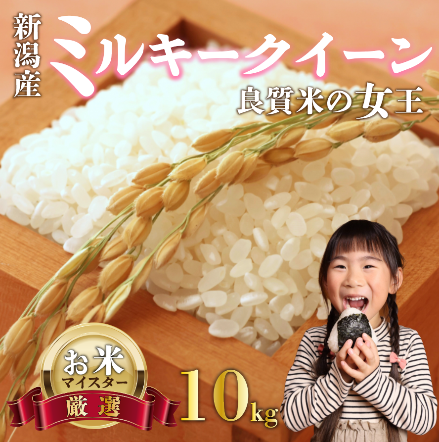 ミルキークイーン 10kg お米 米 白米 こめ しんまい 令和6年産