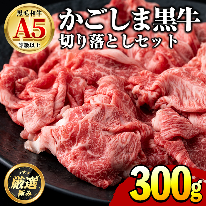 y0071724azYјaIA5̐؂藎Ƃ(v300gE150g×2P)   ؗ ؂藎 a Ⓚ Y   u J[ Ⓚ yOc{Yzǒ7000