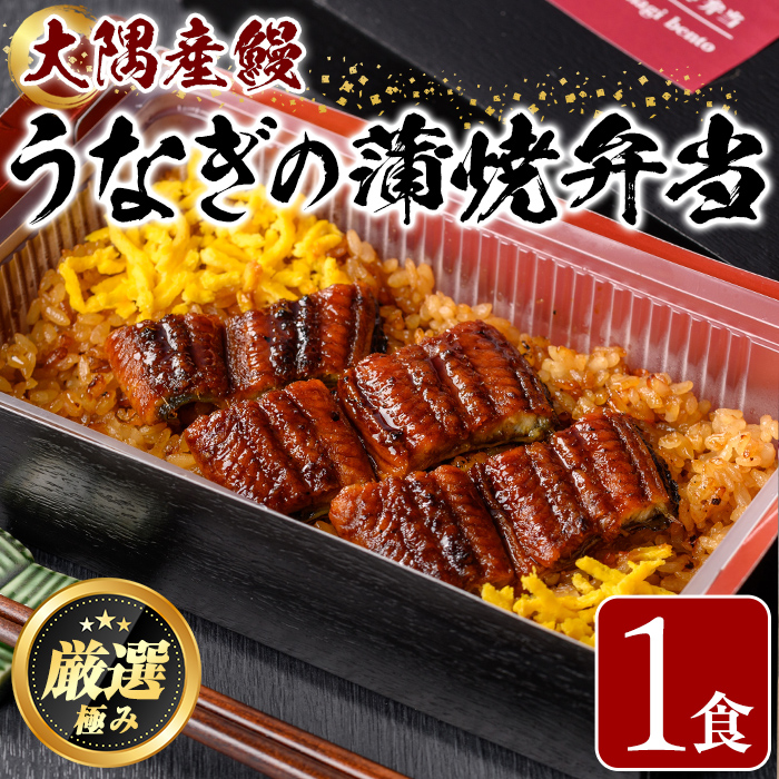 【0085705a】<おためし>大隅産鰻の冷凍弁当(冷凍品)(1食分・計240g タレ、山椒付) うなぎ 高級 ウナギ 鰻 うなぎの蒲焼 蒲焼 国産 ごはん ご飯 お米 おかず 鹿児島 ふるさと レンチン 電子レン