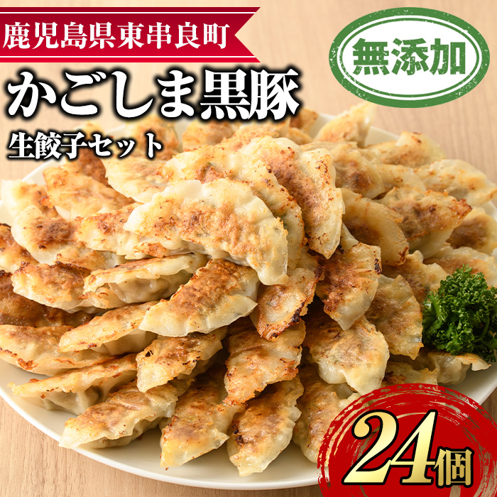 【0095119a】鹿児島黒豚生餃子セット(12個入×2パック・計24個) 黒豚 豚肉 ぶた肉 餃子 ギョウザ ぎょうざ 惣菜 【鹿児島ますや】鹿児島県東串良町9000鍋セット・総菜・加工食品その他 鍋セット