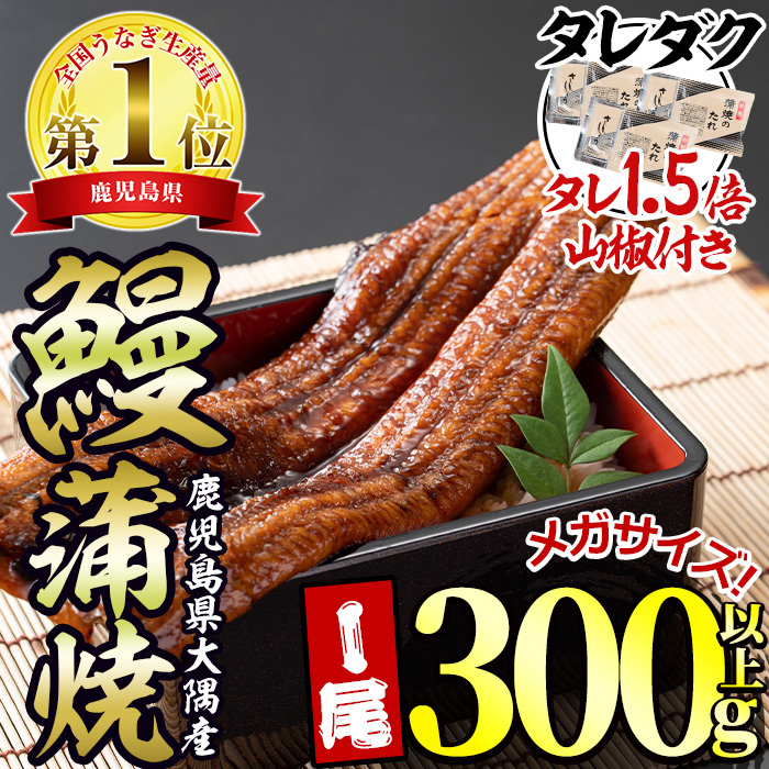 九州産うなぎ蒲焼 （頭なし限定品！）冷凍便 鰻 うなぎ 蒲焼き 国産 無頭 ウナギ 中サイズ 142g前後×5尾 国産