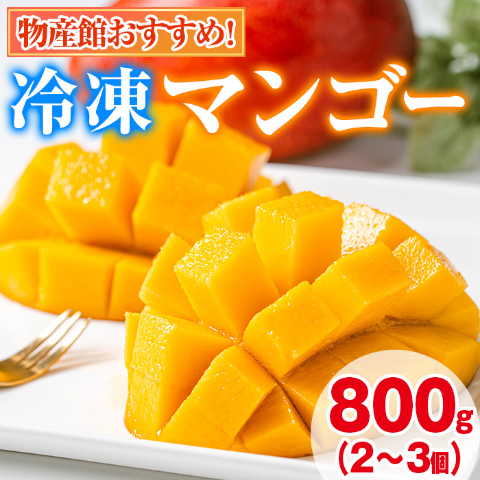 y0105933azYقXXIǒY ۂƗⓀ}S[(v800gE2-3) ʕ t[c ʎ fU[g Y Ⓚ ƒp yǕYكsm̗zǒ10000ʕE