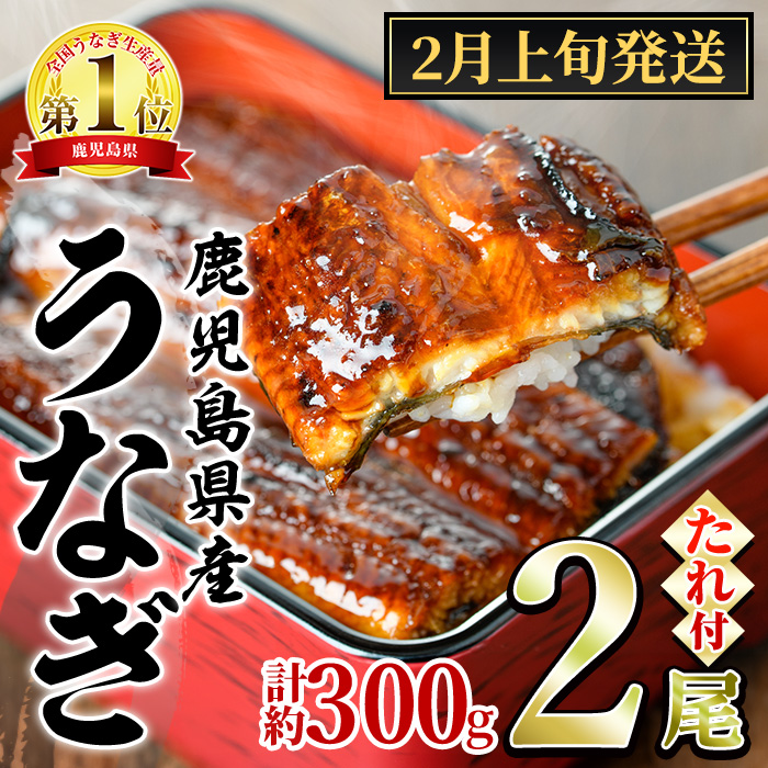 【0134332a-2602】<2月上旬発送予定>東串良町のうなぎ蒲焼(無頭)(2尾・計約300g・タレ、山椒付) うなぎ 高級 ウナギ 鰻 国産 蒲焼 蒲焼き たれ 鹿児島 ふるさと 人気【株式会社アクアおおすみ