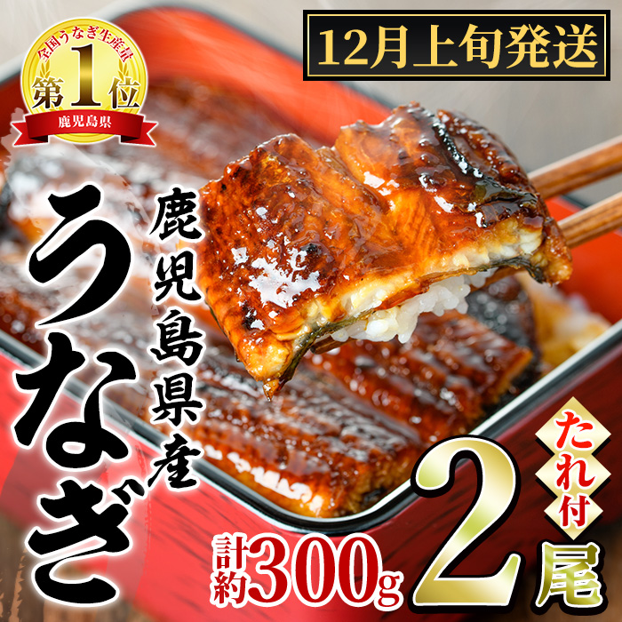 【0134332a-2512】<12月上旬発送予定>東串良町のうなぎ蒲焼(無頭)(2尾・計約300g・タレ、山椒付) うなぎ 高級 ウナギ 鰻 国産 蒲焼 蒲焼き たれ 鹿児島 ふるさと 人気 【アクアおおすみ】鹿児島