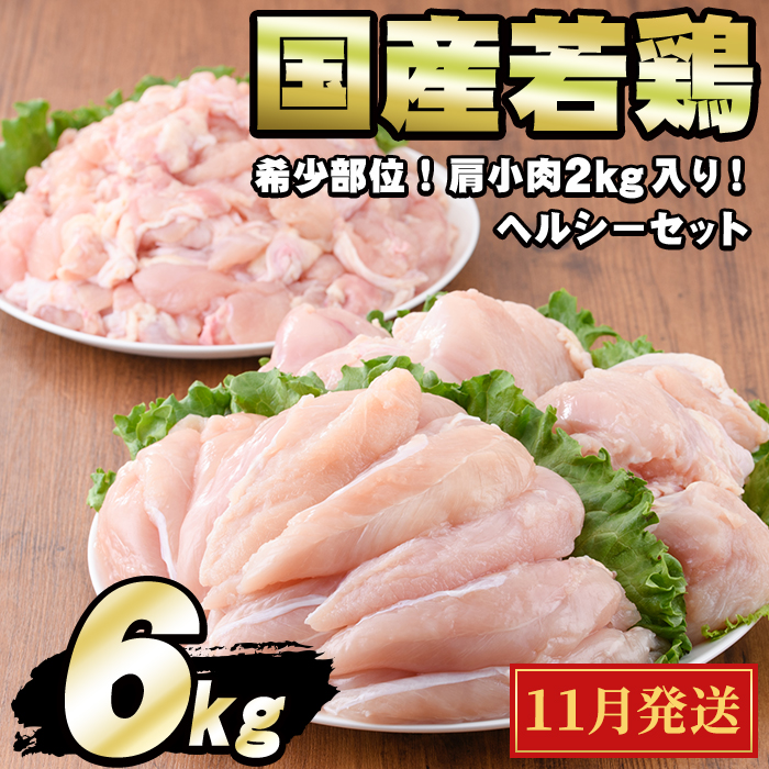 y0124806a-2511z2025N11\聄Y{wV[Zbg(v6kgElA݁A) {  Ƃ ނ˓   YyGrXzǒ12000