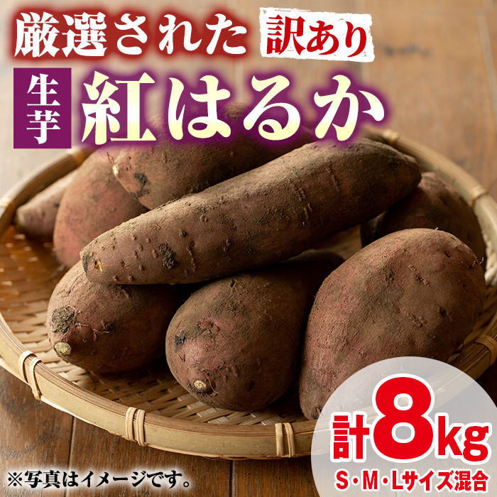 【0135922a】<訳あり>物産館おすすめ!厳選された紅はるか(生芋・計8kg) 生芋 焼芋 焼き芋 やきいも さつまいも さつま芋 スイーツ 期間限定 【東串良物産館ルピノンの里】鹿児島県東串良