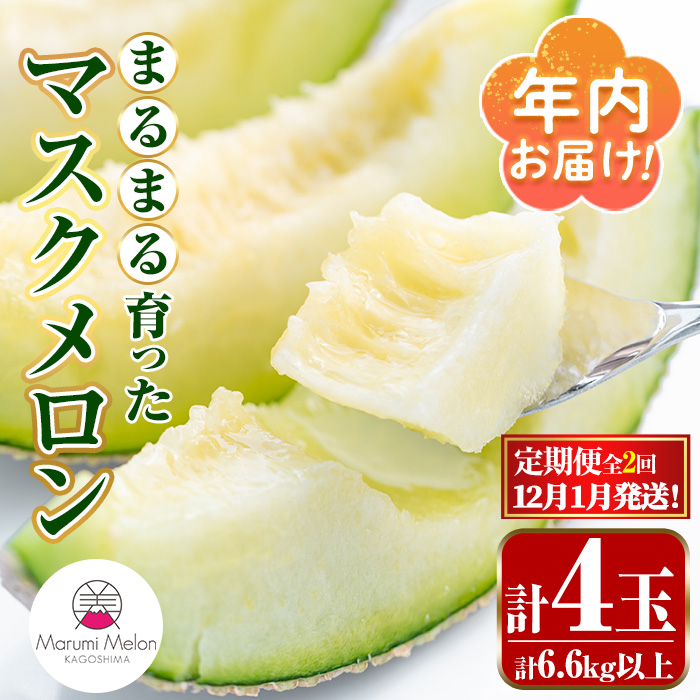 【0432211b】<定期便・全2回(12月・1月)>年内お届け!まるまる育ったマスクメロン(2玉×2回・計6.6kg以上) マスクメロン フルーツ 果物 果実 6キロ 数量限定 期間限定 【まる美園芸組合】鹿児