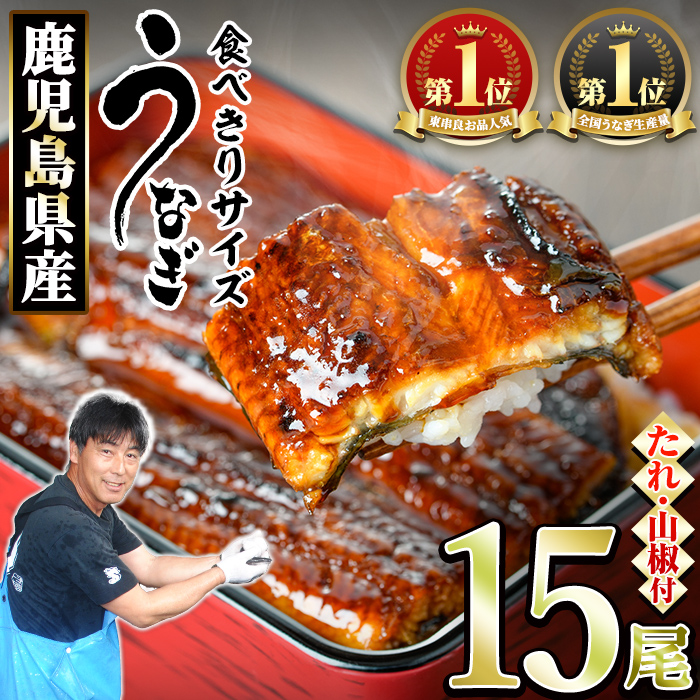 【0554327a】<食べきりサイズ!>東串良町のうなぎ蒲焼(無頭)(15尾・計1500g・タレ、山椒付) うなぎ 高級 ウナギ 鰻 国産 蒲焼 蒲焼き たれ 鹿児島 ふるさと 人気 【アクアおおすみ】鹿児島県