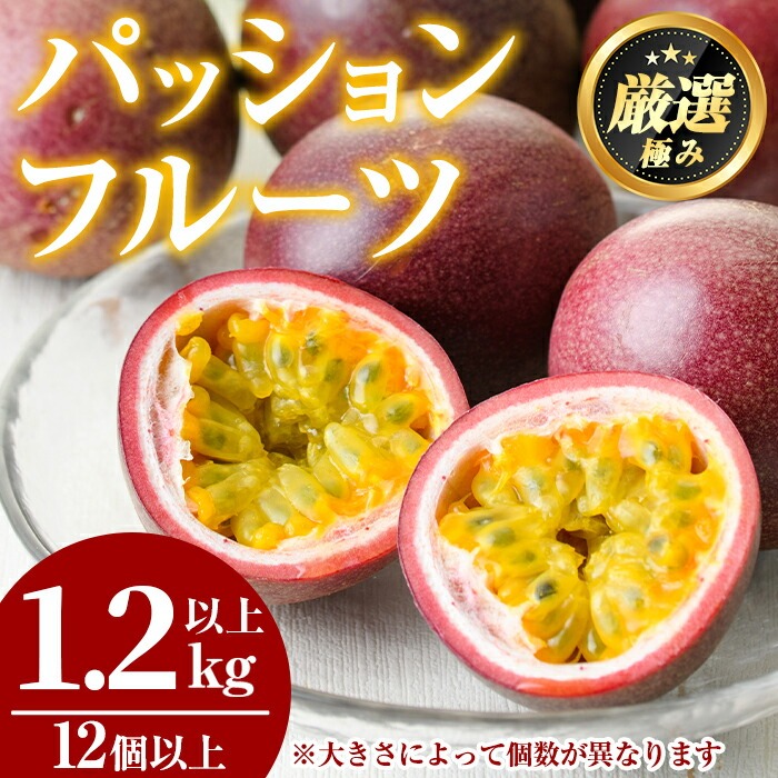 【0105302a】ゆきちゃん農園のパッションフルーツ(1.2kg以上) フルーツ 果物 果実 1キロ 期間限定【ゆきちゃん農園】鹿児島県東串良町10000果物・フルーツその他 果物・フルーツ