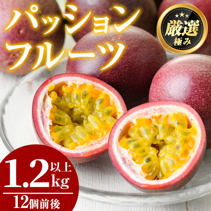 若者に人気のブランド 1005301a】ゆきちゃん農園のパッションフルーツ(1.2kg以上 果物