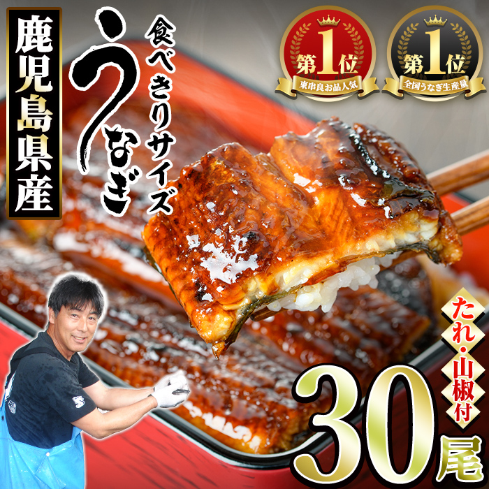 【1084329a】<食べきりサイズ!>東串良町のうなぎ蒲焼(無頭)(30尾・計3000g・タレ、山椒付) うなぎ 高級 ウナギ 鰻 国産 蒲焼 蒲焼き たれ 鹿児島 ふるさと 人気 【アクアおおすみ】鹿児島県