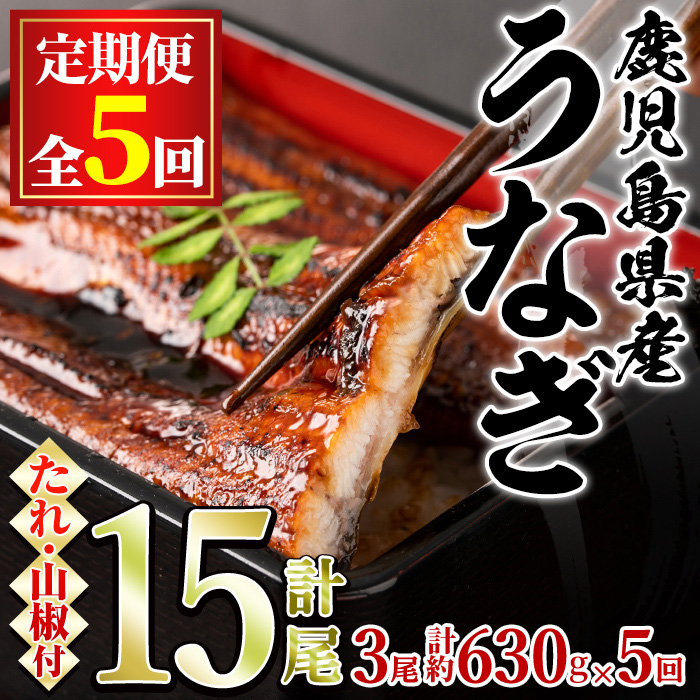 【113044】<定期便・全5回>東串良町のうなぎ蒲焼(無頭)(3尾・計約630g・タレ、山椒付×5回)うなぎ 高級 ウナギ 鰻 国産 蒲焼 蒲焼き たれ 鹿児島 ふるさと 人気【アクアおおすみ】鹿児島県東