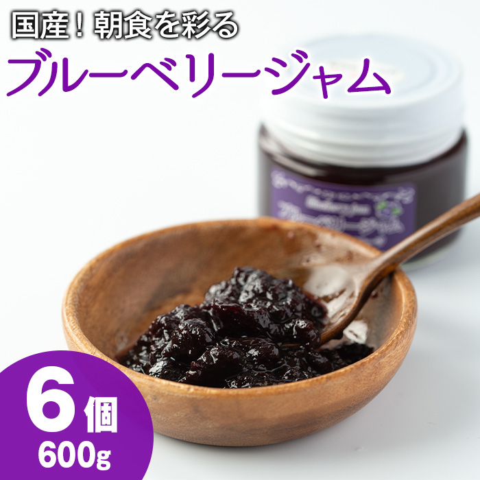 【12161】贅沢な国産ブルーベリージャム(100g×6個・計600g)ジャム 瓶 果物 果実 フルーツ パン【村山製油】鹿児島県東串良町12000鍋セット・総菜・加工食品ジャム・はちみつ