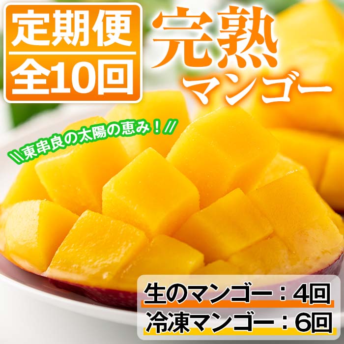 【130691】<定期便・全10回>鹿児島県産!南国の恵み!完熟マンゴー(1回のお届け1kg・2〜3個入り)【甘宮】鹿児島県東串良町130000果物・フルーツマンゴー・パイナップル