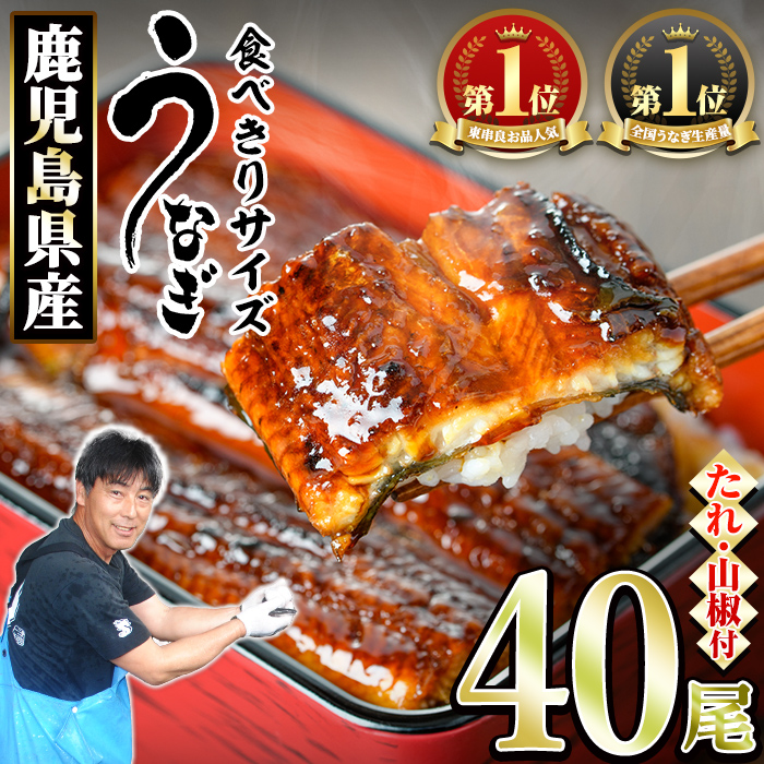【1434330a】<食べきりサイズ!>東串良町のうなぎ蒲焼(無頭)(40尾・計4000g・タレ、山椒付) うなぎ 高級 ウナギ 鰻 国産 蒲焼 蒲焼き たれ 鹿児島 ふるさと 人気 【アクアおおすみ】鹿児島県