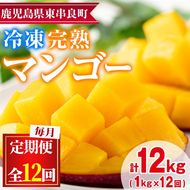 【156951】<定期便・全12回(連続)>鹿児島県産!南国の恵み!丸ごと冷凍完熟マンゴー(1kg×12回)果物 フルーツ 果実 冷凍 デザート 国産【甘宮】鹿児島県東串良町156000果物・フルーツマンゴー