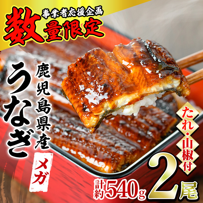 【0174318a】<数量限定><メガサイズ>「養鰻業者応援」うなぎ蒲焼き(無頭)(2尾・計約540g・タレ、山椒付)鹿児島県東串良町17000魚介・海産物うなぎ