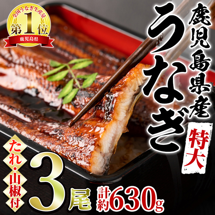 【0234303a】東串良町のうなぎ蒲焼(無頭)(3尾・計約630g・タレ、山椒付)うなぎ 高級 ウナギ 鰻 国産 蒲焼 蒲焼き たれ 鹿児島 ふるさと 人気【アクアおおすみ】鹿児島県東串良町23000魚介・海産
