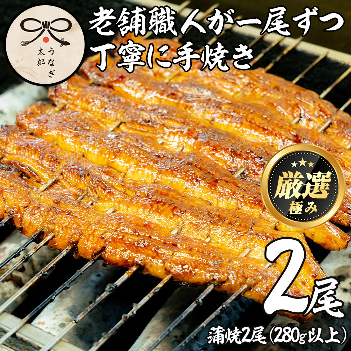 【0263708a】鹿児島県産東串良町のうなぎ蒲焼(2尾・計280g以上・秘伝のタレ付き) うなぎ 高級 ウナギ 鰻 国産 蒲焼 蒲焼き たれ 鹿児島【うなぎ太郎】鹿児島県東串良町26000魚介・海産物うなぎ