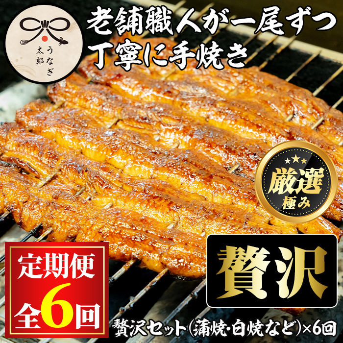 【3003712b】<定期便・全6回(連続)>鹿児島県産うなぎの贅沢セット(蒲焼き・白焼き・きざみ鰻など) うなぎ 高級 ウナギ 鰻 国産 たれ 鹿児島 蒲焼き 白焼き きざみ鰻 焼肝串 【うなぎ太郎】