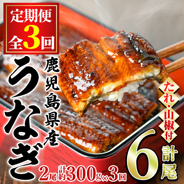 うなぎの蒲焼 2025年6月22日賞味期限 パパっと簡単うなぎ蒲焼 2025 年 6 月新発売：時事ドットコム