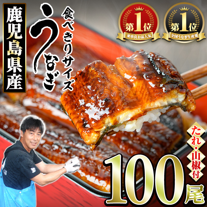 【3344331a】<食べきりサイズ!>東串良町のうなぎ蒲焼(無頭)(100尾・計10000g・タレ、山椒付) うなぎ 高級 ウナギ 鰻 国産 蒲焼 蒲焼き たれ 鹿児島 ふるさと 人気 【アクアおおすみ】鹿児島県