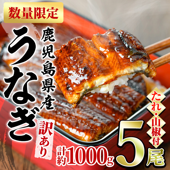 0304313a】＜訳あり＞東串良町のうなぎ蒲焼(無頭)(5尾以上・計約