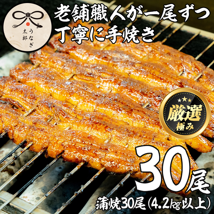 【3903717a】<大容量!>鹿児島県産東串良町のうなぎ蒲焼(30尾・計4.2kg以上・秘伝のタレ付き) うなぎ 高級 ウナギ 鰻 国産 蒲焼 蒲焼き たれ 鹿児島 【うなぎ太郎】鹿児島県東串良町390000魚介