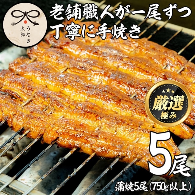 【52878】鹿児島県産東串良町のうなぎ蒲焼(5尾・計750g以上・秘伝のタレ付き)【うなぎ太郎】鹿児島県東串良町52000魚介・海産物うなぎ