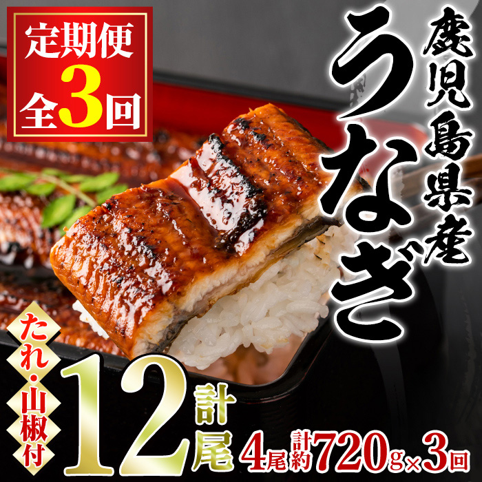 【80042】<定期便・全3回>東串良町のうなぎ蒲焼(無頭)(4尾・計約720g・タレ、山椒付×3回)うなぎ 高級 ウナギ 鰻 国産 蒲焼 蒲焼き たれ 鹿児島 ふるさと 人気【アクアおおすみ】鹿児島県東