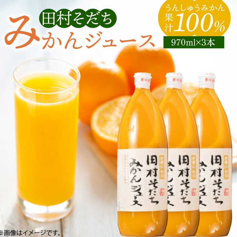 G7029_果汁100%田村そだちみかんジュース 970ml×3本和歌山県湯浅町16000お茶・飲料果汁・野菜飲料