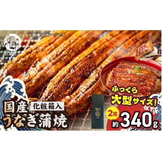 G7005_大型サイズ ふっくら柔らか 国産うなぎ 蒲焼き 2尾 (約4人前) 化粧箱入和歌山県湯浅町20000魚介・海産物うなぎ