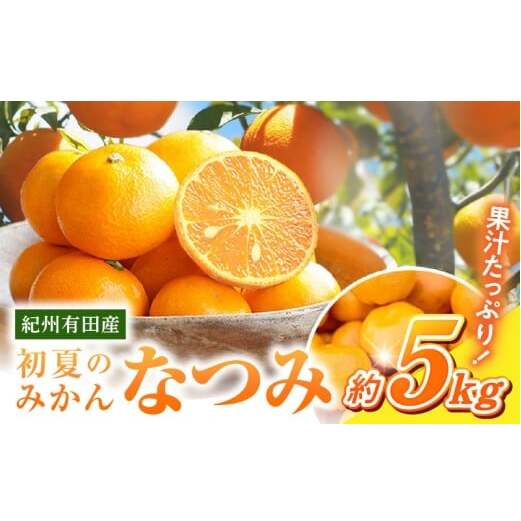 G7072_【2026年先行予約】初夏のみかん なつみ5kg和歌山県湯浅町14000果物・フルーツみかん・柑橘類
