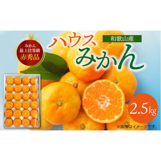 G6029_【2026年先行予約】紀州和歌山 ハウスみかん 2.5kg 赤秀品和歌山県湯浅町20000果物・フルーツみかん・柑橘類
