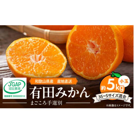 ZE6044n_和歌山県産 有田みかん 5kg 小玉(3S〜Sサイズ混合)【まごころ手選別】和歌山県湯浅町13000果物・フルーツみかん・柑橘類