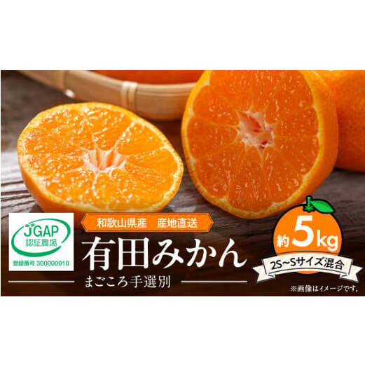 ZE6053n_和歌山県産 有田みかん 5kg 2S〜Sサイズ混合【まごころ手選別】和歌山県湯浅町13000果物・フルーツみかん・柑橘類