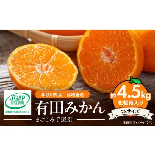ZE6057n_有田みかん 化粧箱 約4.5kg 2Sサイズ【まごころ手選別】和歌山県湯浅町13000果物・フルーツみかん・柑橘類