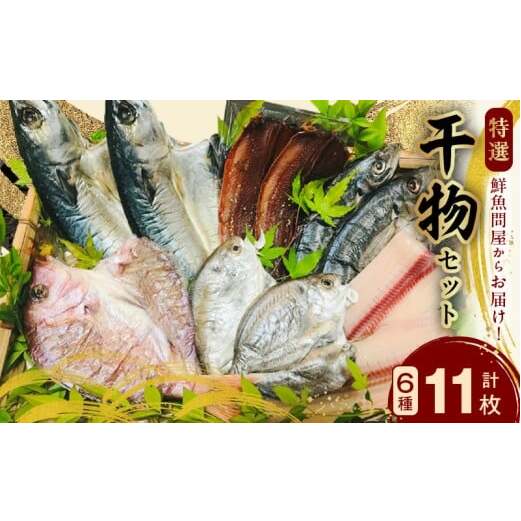 AD6001n_鮮魚問屋の 特選 干物セット (6種11枚)和歌山県湯浅町15000魚介・海産物干物