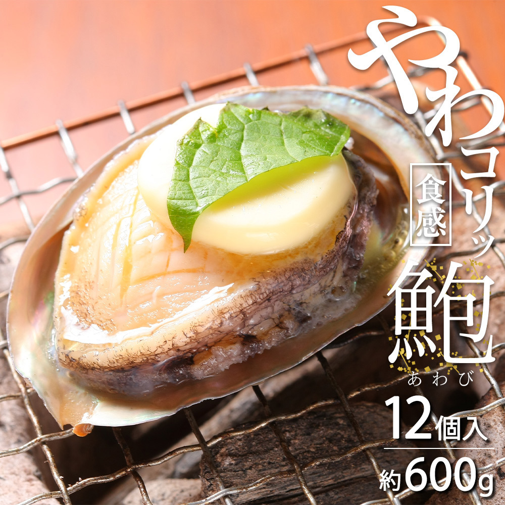 ZG6011_やわコリ食感紀州活アワビ 【12個入】 約600g和歌山県湯浅町20000魚介・海産物貝類