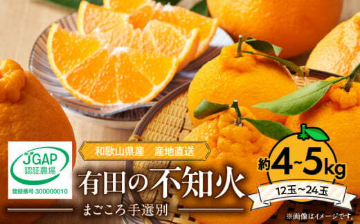 ZE6098n_【2026年先行予約】有田の不知火(しらぬひ) 約4kg〜5kg 大玉12〜24玉(M〜4Lサイズ)まごころ手選別和歌山県湯浅町15000果物・フルーツみかん・柑橘類