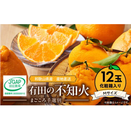 ZE6104n_【2026年先行予約】有田の不知火(しらぬひ)【化粧箱】?12玉(Mサイズ)まごころ手選別和歌山県湯浅町15000果物・フルーツみかん・柑橘類